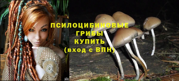 кокаин премиум Снежногорск